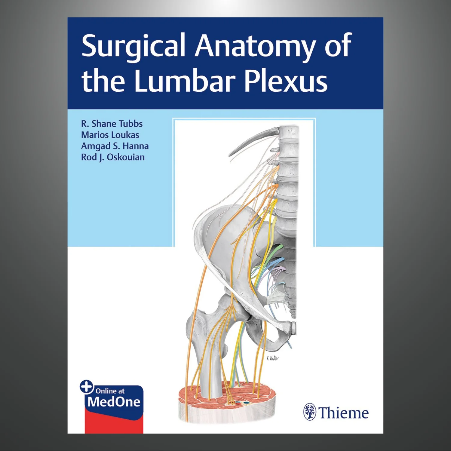 Surgical Anatomy of the Lumbar Plexus